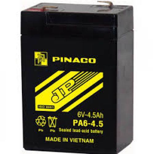 Ắcquy PINACO 4V vợt muỗi